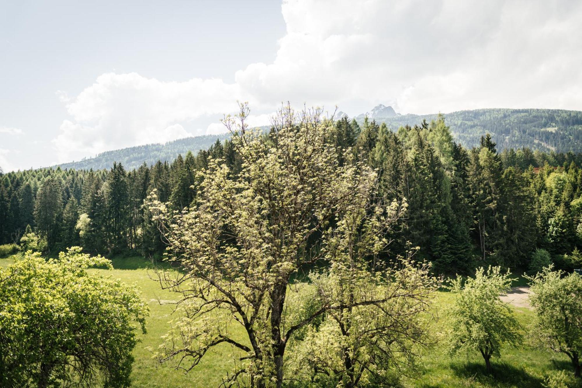 Edenhauserhof Neu Gotzens Eksteriør bilde